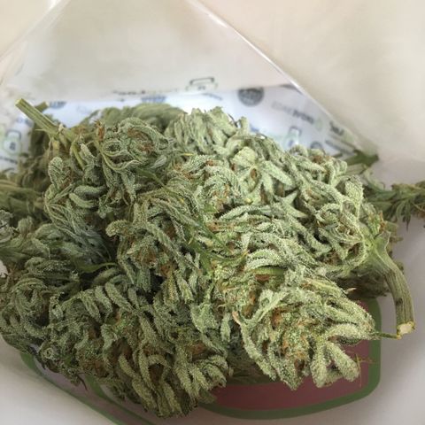 Bruce Banner growlog timeline photo