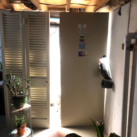 Bruce Banner auto 💪💚🌳👒🦚 growlog timeline photo