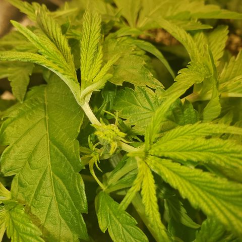 Becky growlog timeline photo