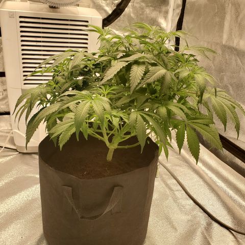 Becky growlog timeline photo