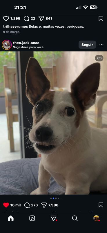 Avatar von MagoDasPlantas