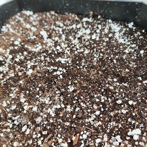 Permanent whitemarker  growlog timeline photo