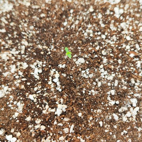 Permanent whitemarker  growlog timeline photo