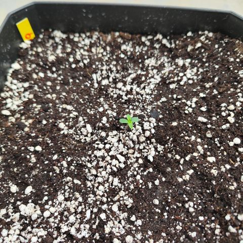 Permanent whitemarker  growlog timeline photo