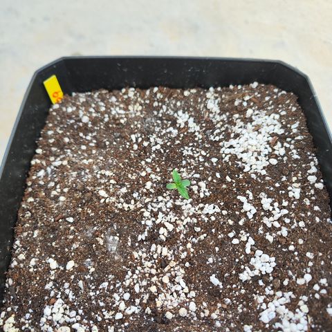 Permanent whitemarker  growlog timeline photo
