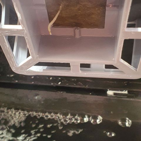 Auto Pineapple Candy growlog timeline photo
