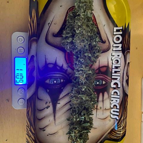 Purple growlog timeline photo