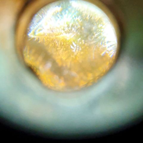 Pineapple growlog timeline photo