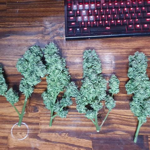 Pineapple growlog timeline photo