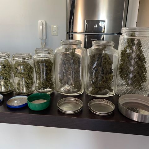 Mohan Poison #1 growlog timeline photo