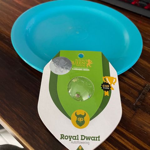 Royal Dwarf growlog timeline photo