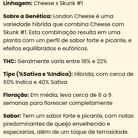 London Cheese growlog photo: Características descrita pelo banco de sementes Dentista Seeds.