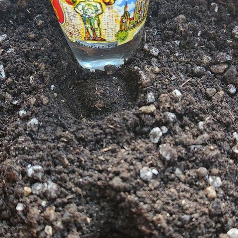 Tweede pruts BD growlog timeline photo