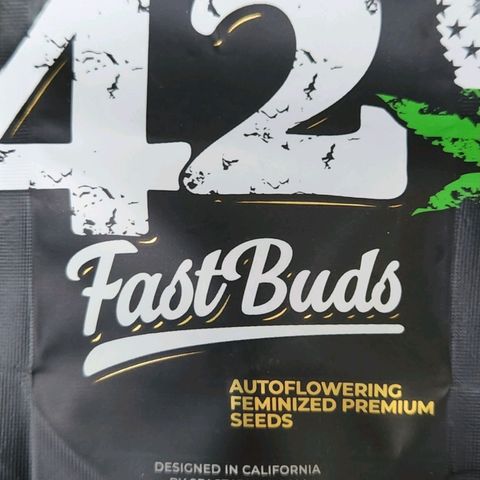Tweede pruts BD growlog timeline photo