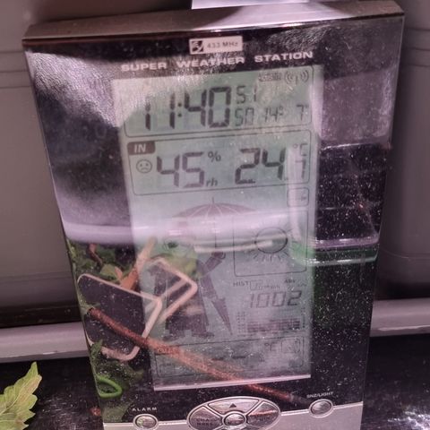 RolexHaschisch growlog timeline photo