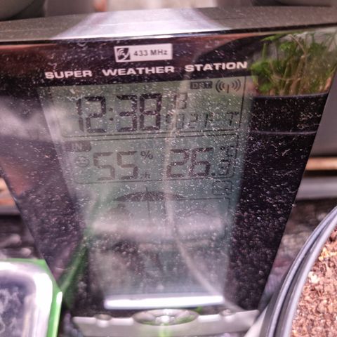 RolexHaschisch growlog timeline photo