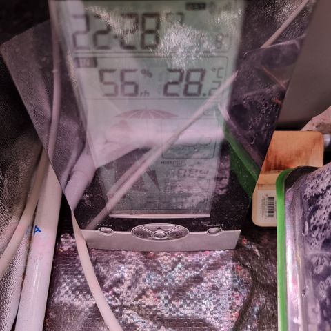 RolexHaschisch growlog timeline photo