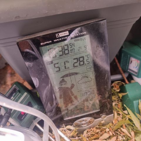 RolexHaschisch growlog timeline photo