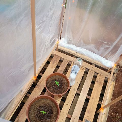 Genética desconhecida growlog timeline photo