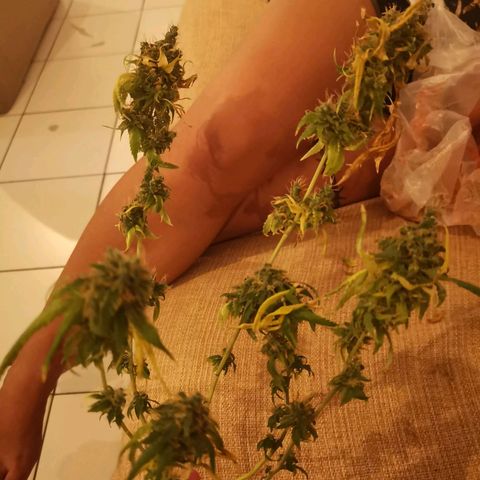 Sofia growlog timeline photo