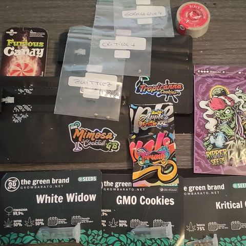 Crecimiento growlog timeline photo