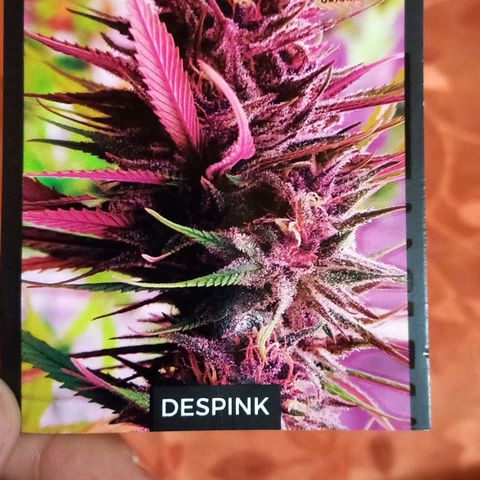 Despink #1 growlog timeline photo
