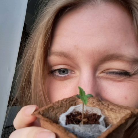 Purple Queen growlog photo: 🥰