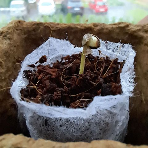 Heidrun  growlog photo: Da is sie :)