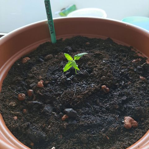 Rickarda Sanchez growlog timeline photo