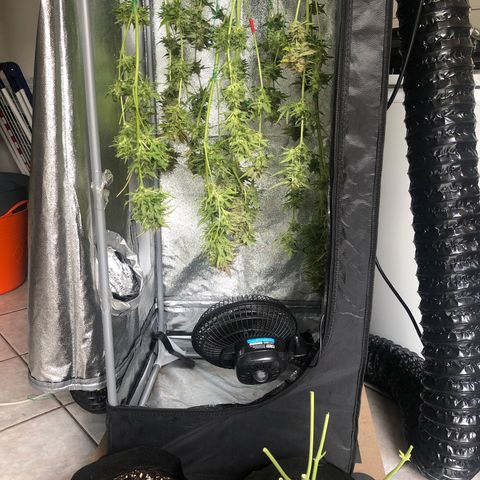 Automatic Jack growlog timeline photo