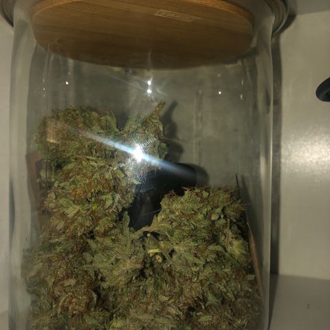 Automatic Jack growlog timeline photo