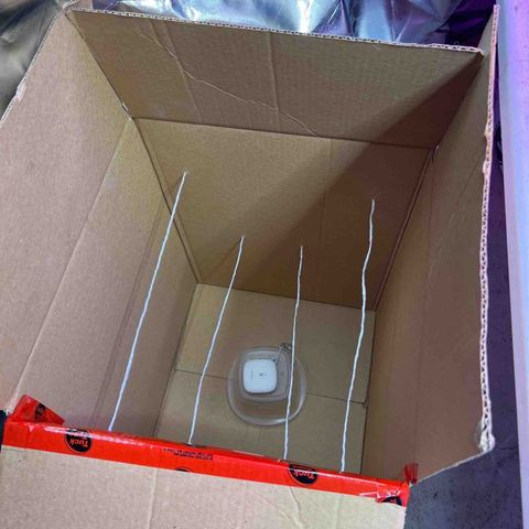 CBDV 1:1 Auto growlog timeline photo
