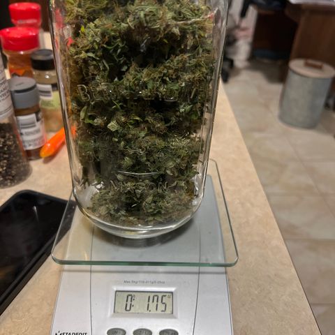 CBDV 1:1 Auto growlog timeline photo