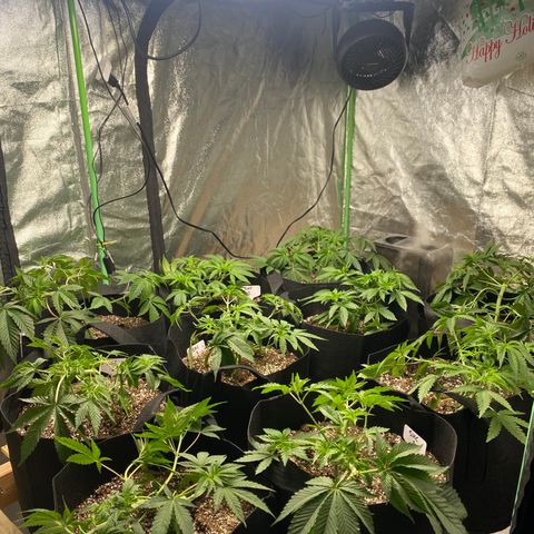 PC #1 growlog timeline photo