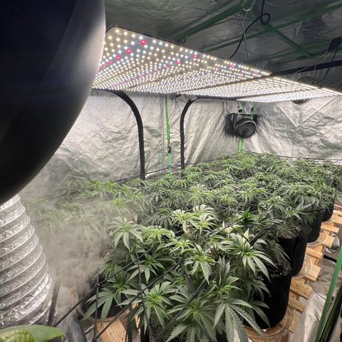 PC #1 growlog timeline photo