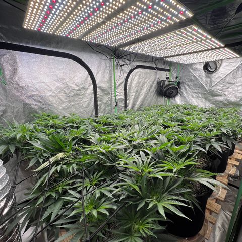 PC #1 growlog timeline photo