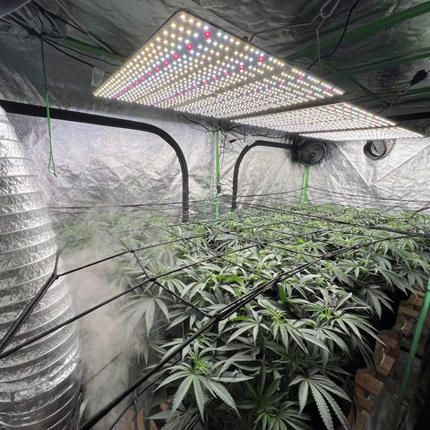 PC #1 growlog timeline photo