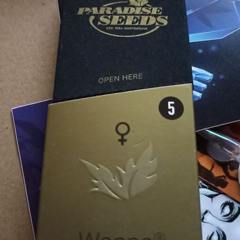 Wappa #1 growlog timeline photo