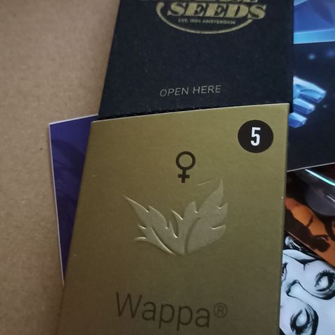Wappa #3 growlog timeline photo