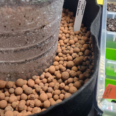 Gummibears growlog timeline photo