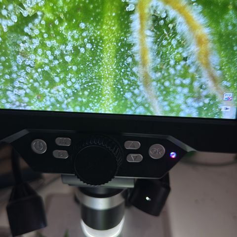 Wappa growlog timeline photo