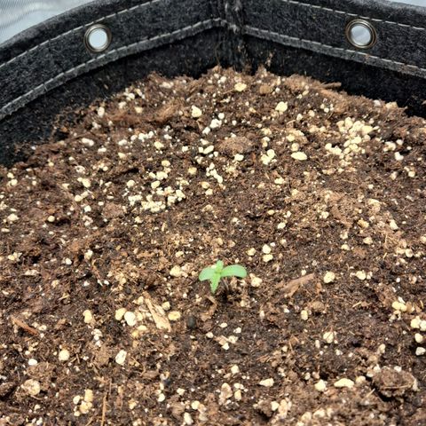 Titan growlog timeline photo