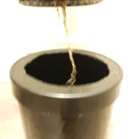 Gorilla Glue #4 growlog timeline photo