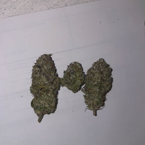 sunset paradise x2 growlog photo: #1