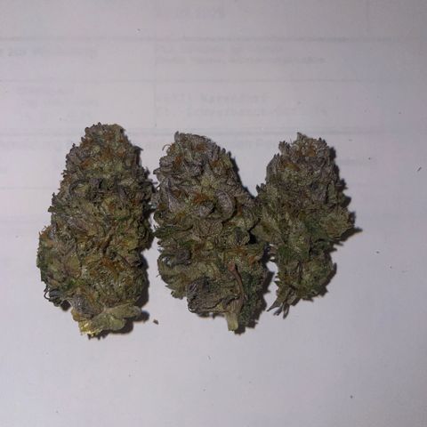 sunset paradise x2 growlog photo: #2