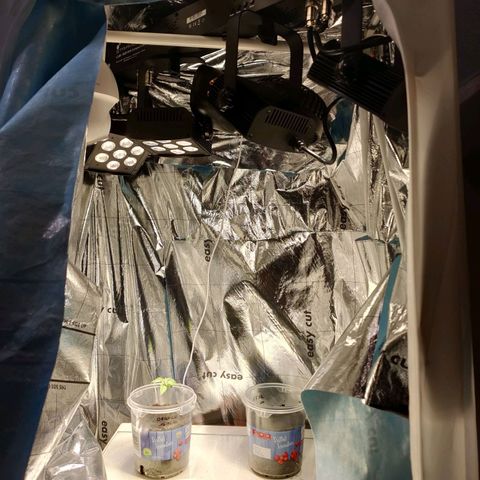 Orinoco  growlog photo: Umzug in schrank