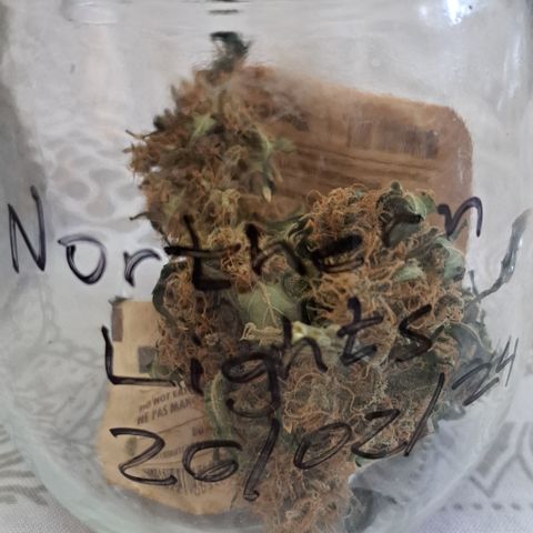 Northern Lights growlog timeline photo