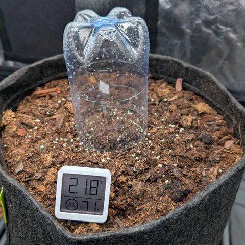 Gorilla Z growlog timeline photo