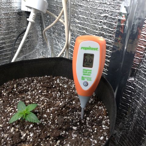 AK-47 Auto growlog timeline photo