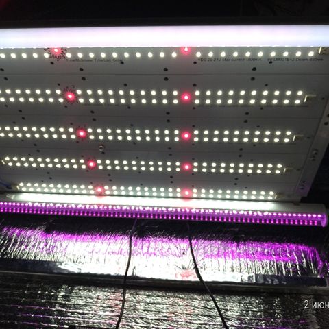 Auto Mazar growlog photo: 150+18+18 Wt